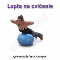 Gymnastická lopta - GYM BALL 65cm s pumpou fialová